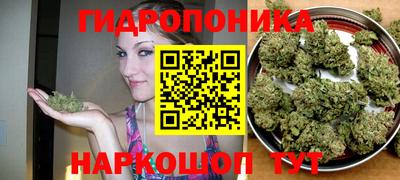 прущая мука Новозыбков