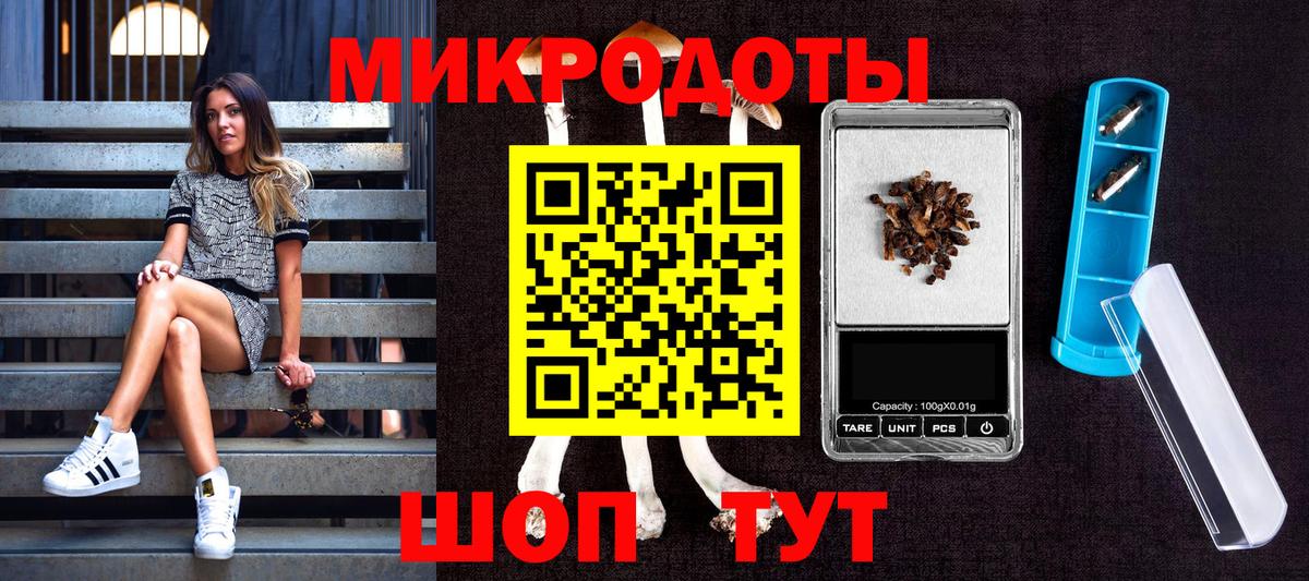 Псилоцибиновые грибы Psilocybe  Вход с VPN  Сургут 
